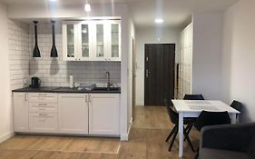 Nowy Apartament W Wisle